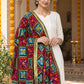 Dp2-Hv-101 — Phulkari dupatta, closer embroidered drape view