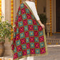 Dp2-Hv-101 — rear three-quarter drape showing Phulkari embroidery and border