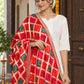 Dp2-Hv-106 — Phulkari dupatta, closer embroidered drape view