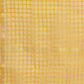 Women's Dupatta