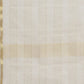 Women's Dupatta