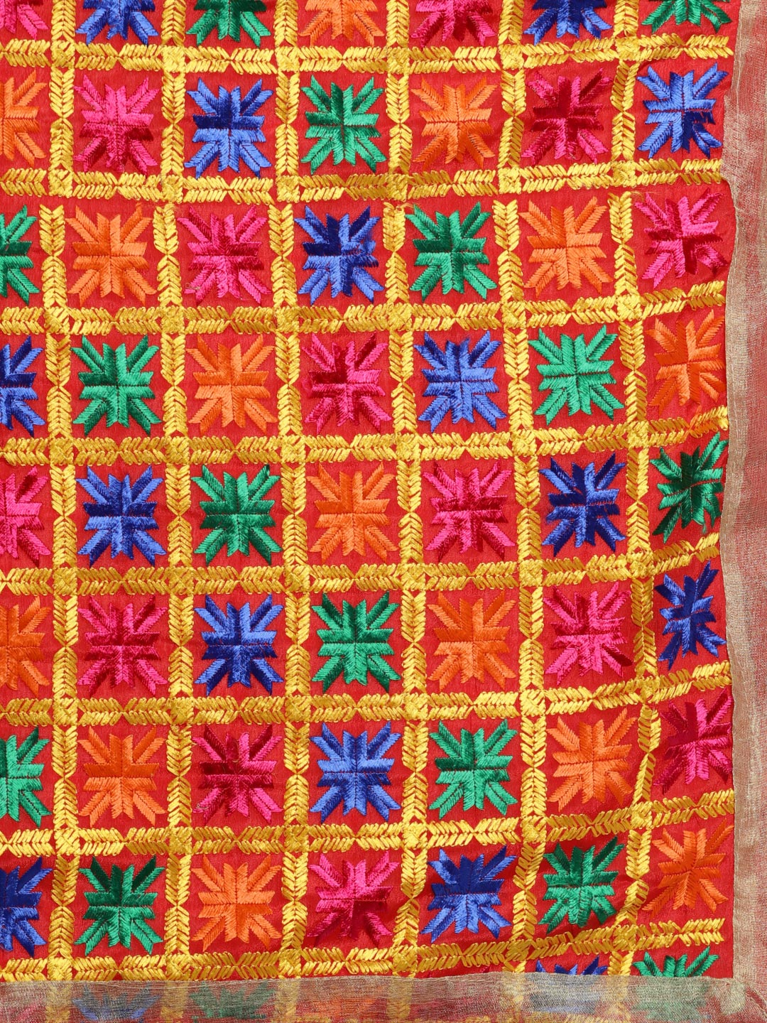 HV-ANARKALI — original Phulkari embroidery detail