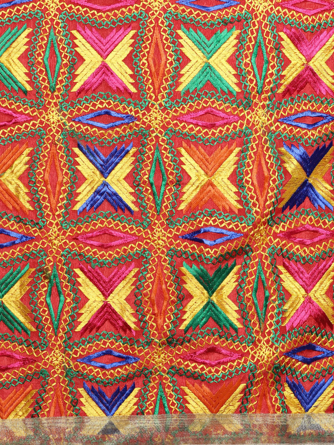 HV-BUTTERFLY — original Phulkari embroidery detail