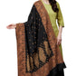 Women's Acro Wool Blend Woven Kashmiri Shawls