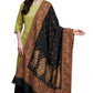 Women's Acro Wool Blend Woven Kashmiri Shawls