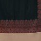 Weavers Villa Women's Acro Wool Blend Woven Kashmiri Shawls