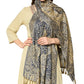 Soft Viscose Women's Stole